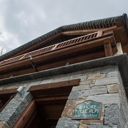 Il Fiore Delle Alpi * Alpe Devero